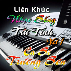 Liên Khúc: Hình Bóng Quê Nhà - Trường Sơn