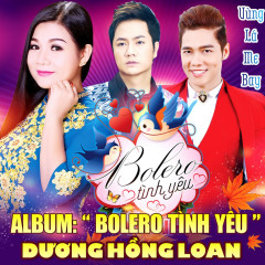 Tình Vội Chia Ly - Dương Hồng Loan, Duy Trường