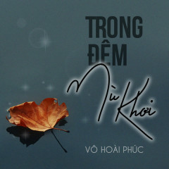 Trong Đêm Mù Khơi - Võ Hoài  Phúc