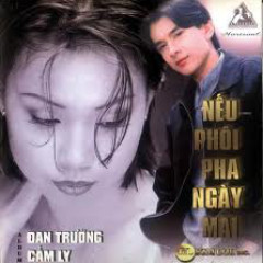 Tình Đơn Phương - Đan Trường