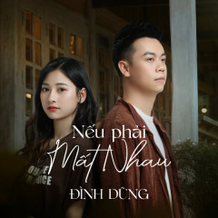 Nếu Phải Mất Nhau (Lofi Version) - Đình Dũng