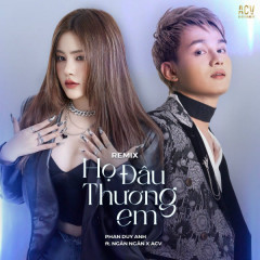Họ Đâu Thương Em (Bibo Remix) - Phan Duy Anh, Ngân Ngân, ACV