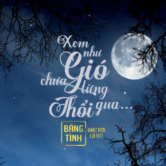 Xem Như Gió Chưa Từng Thổi Qua - Băng Tình