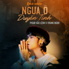 Ngựa Ô Duyên Tình (Remix) - Phạm Sắc Lệnh, Jiren K, Trung Ngon