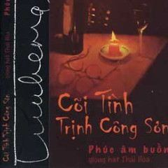 Thành Phố Mùa Xuân - Thái Hòa