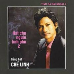 Em Đến Thăm Anh Đêm 30 - Chế Linh