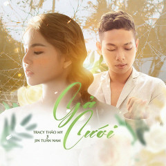 Gả Cưới - Jin Tuấn Nam, Tracy Thảo My