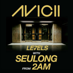Levels - Avicii, Im Seul Ong