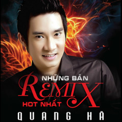Dĩ Vãng Cuộc Tình (Remix) - Quang Hà, Duy Mạnh