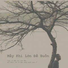 Mấy Khi Lớn Để Buồn - Thanh Nguyễn