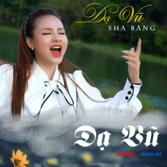 Dạ Vũ - Sha Băng, SOUND HIT