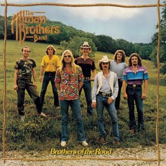 Never Knew How Much (I Needed You) - The Allman Brothers Band
