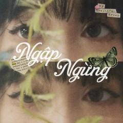 Ngập ngừng - Hằng ssi, Aries tis